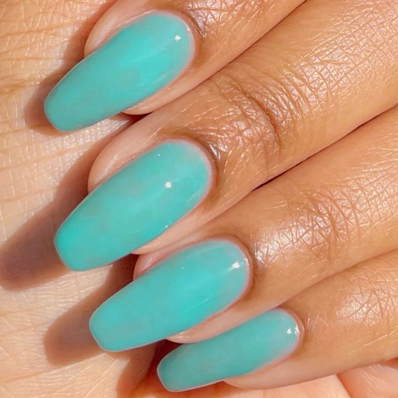 Aqua Jelly