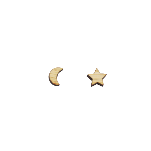 Moon & Star Earring Studs