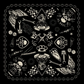 Bandanas