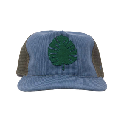 Monstera Trucker