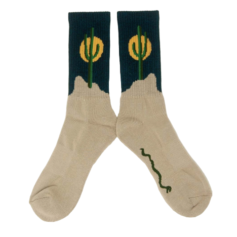 Cactus Socks