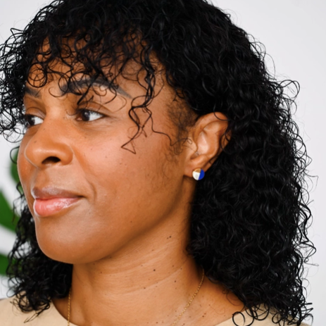 Radiant Horizon Studs