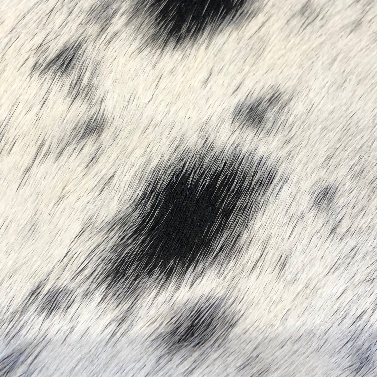 Zippered Women's Wallet