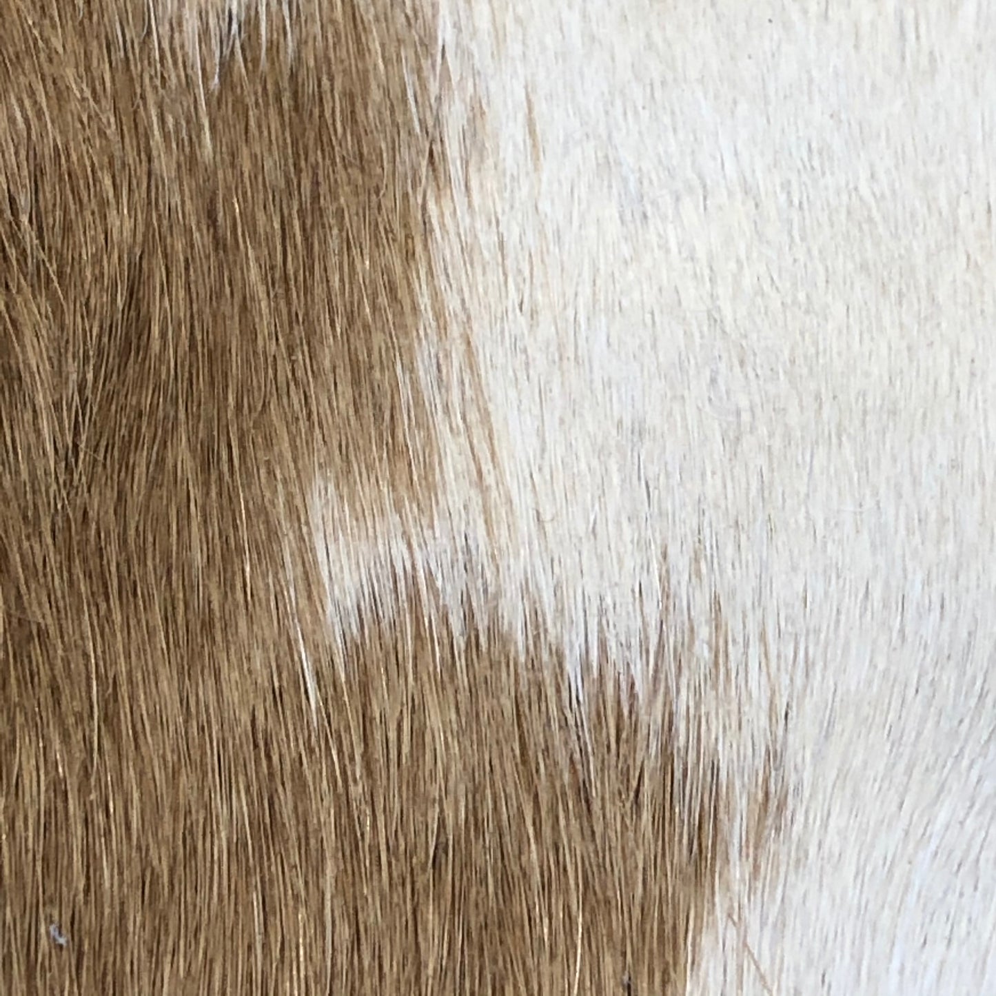 Zippered Women's Wallet