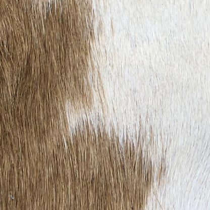 Zippered Women's Wallet