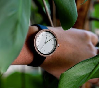 Sofia Ladies Wrist Watch